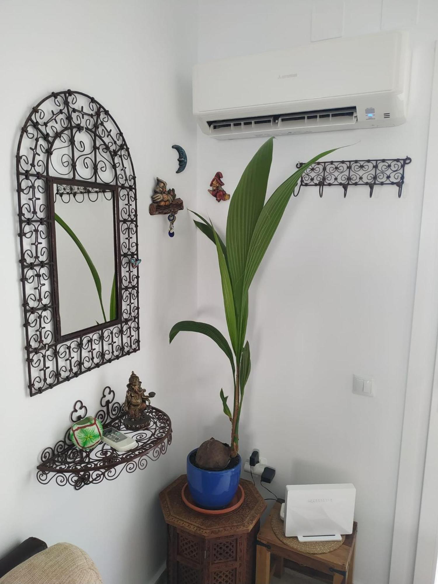 La Barrosa Duplex Villa Chiclana de la Frontera Ngoại thất bức ảnh
