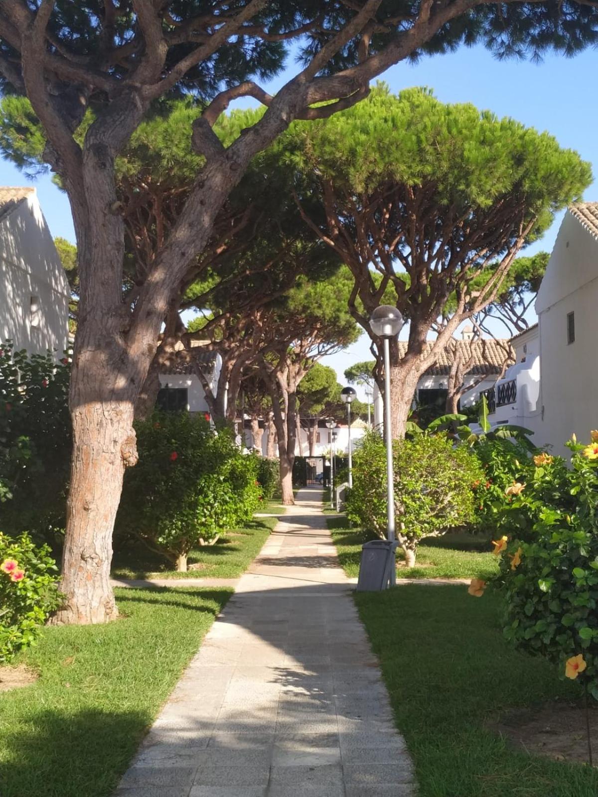 La Barrosa Duplex Villa Chiclana de la Frontera Ngoại thất bức ảnh